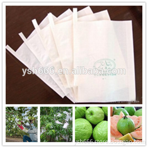 GUAVA BAG,pomegranate bag/Fruit growing packing bags,protective bag skype yu.zhang 951